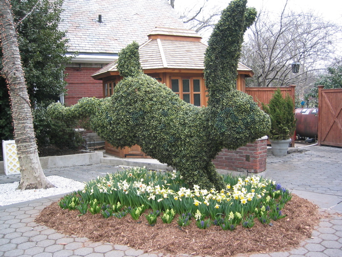 Easter Bunny, Central Park