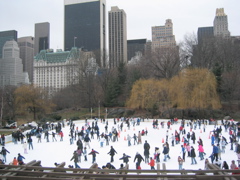 Skating in Central Park